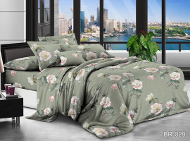 Постельное белье поликоттон Tag tekstil BR-029