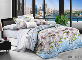Постельное белье поликоттон Tag tekstil BR-12491