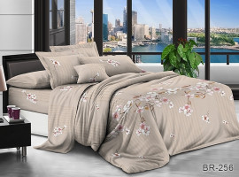 Постельное белье поликоттон Tag tekstil BR-256