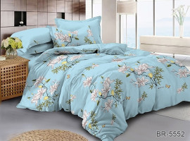 Постельное белье поликоттон Tag tekstil BR-5552