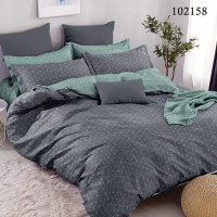 Комплект постельного белья бязь люкс Selena 102158 Горошок міні Grey