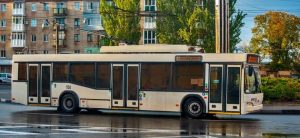 61565-kopyya-870x400
